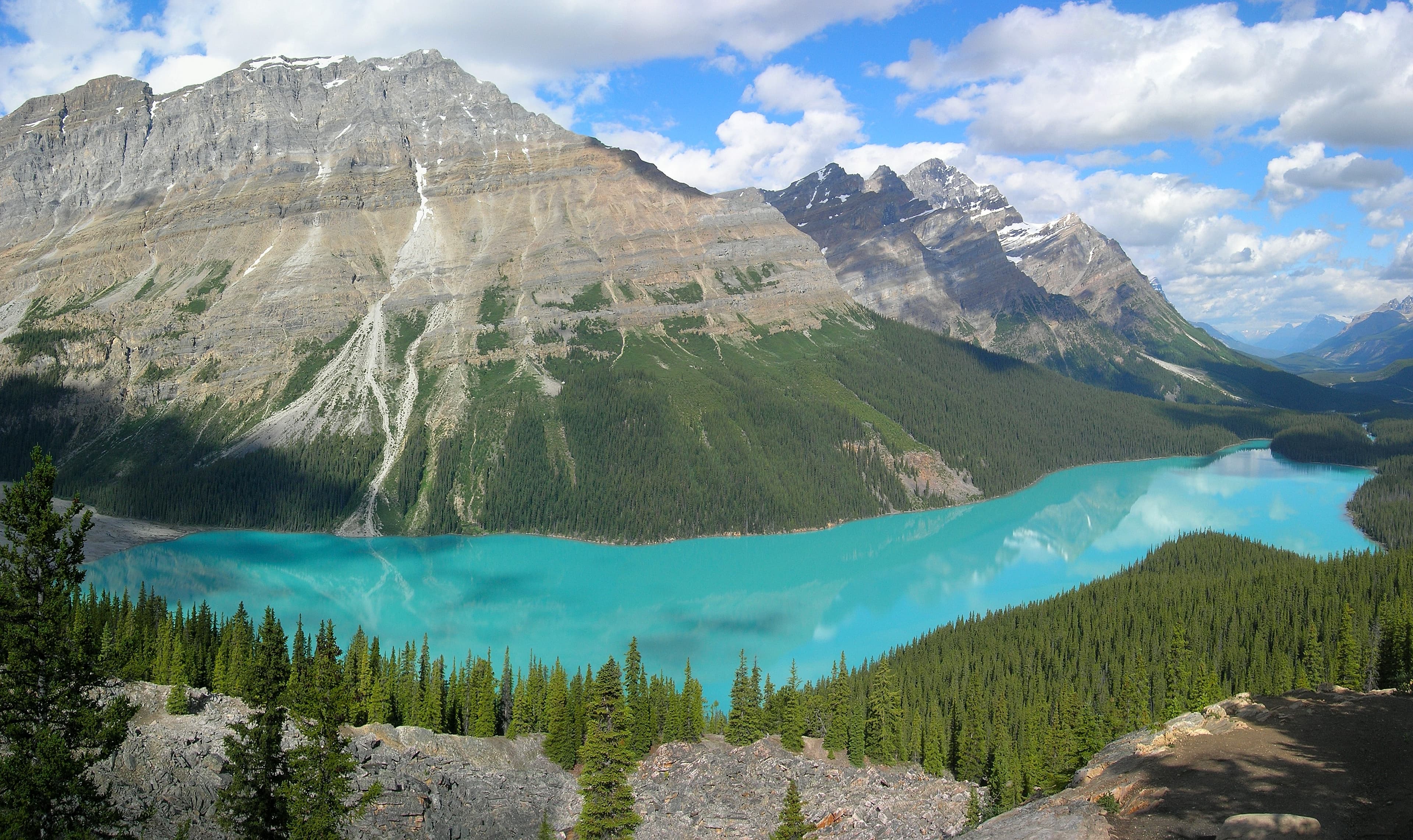 Le lac Peyto dans le parc national de Banff